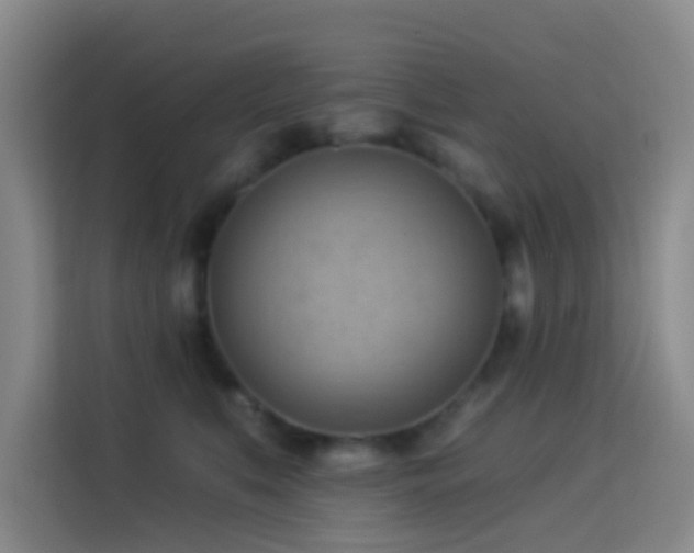 X0000114020519200910021420