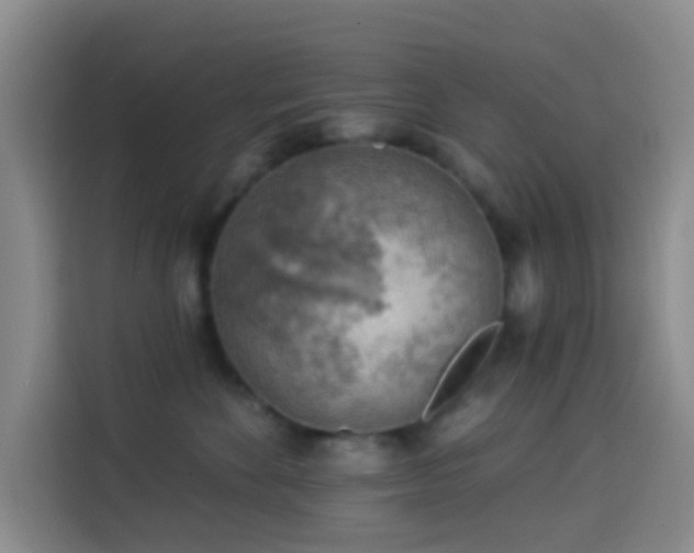 X0000114020524200910021420