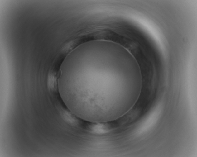 X0000114020527200910021420