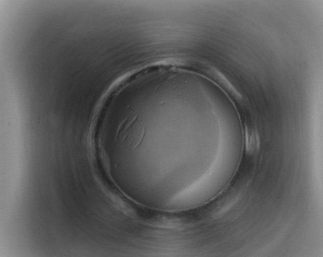 X0000114020531200910021419