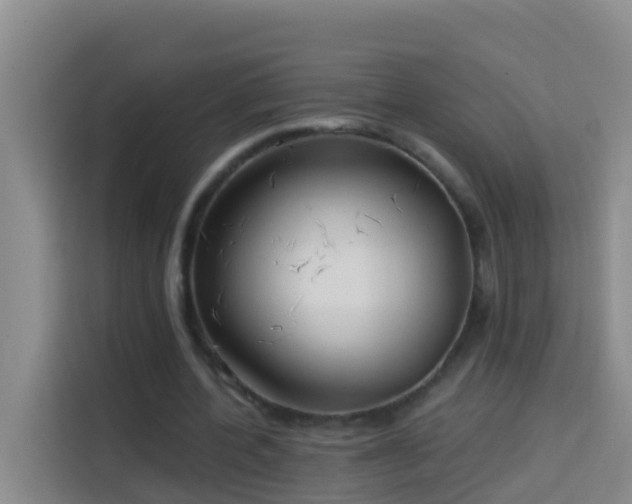 X0000114020532200910021419