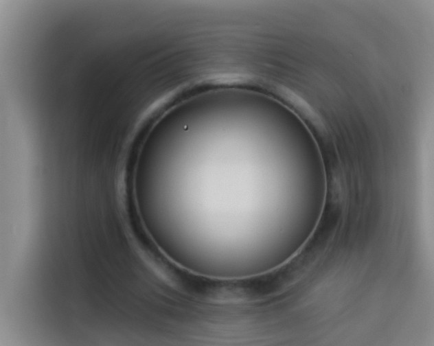 X0000114020535200910021419