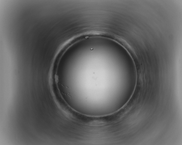 X0000114020536200910021419