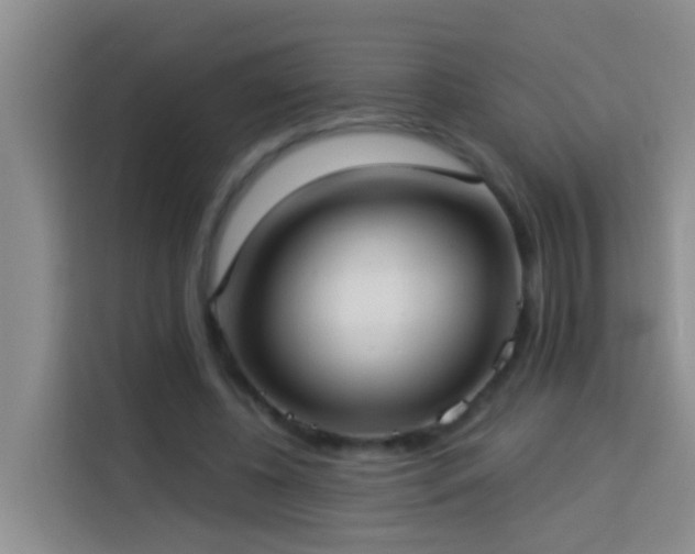 X0000114020540200910021419