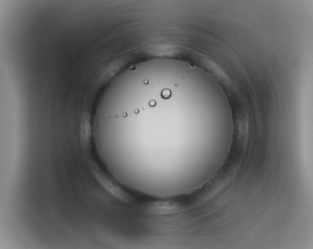X0000114020541200910021419
