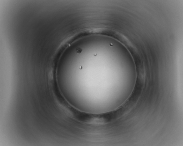 X0000114020543200910021419