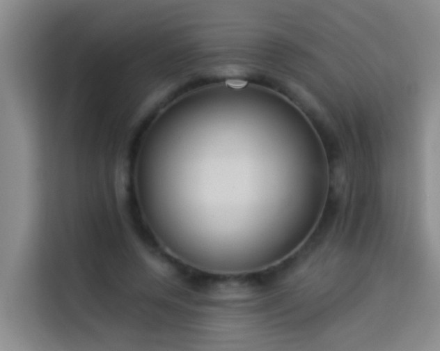 X0000114020544200910021419