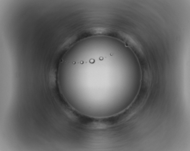 X0000114020545200910021419