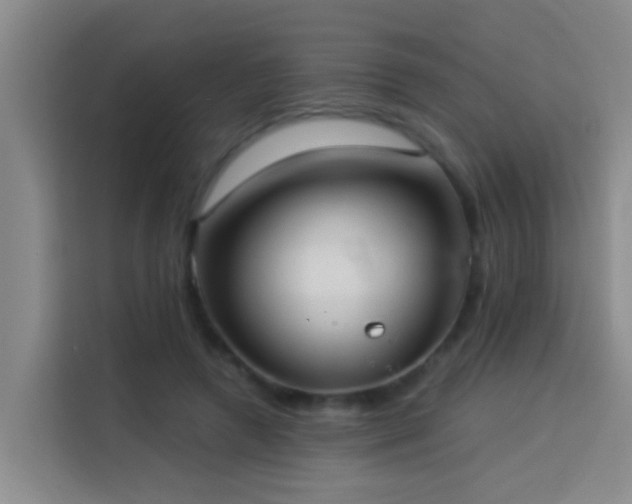 X0000114020546200910021419