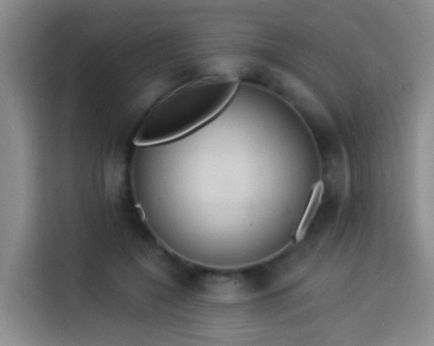 X0000114020548200910021419