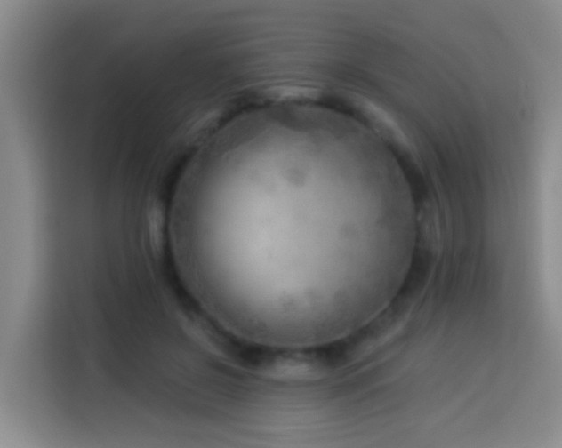 X0000114020550200910021419