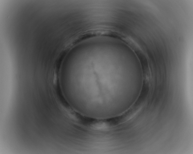 X0000114020551200910021419