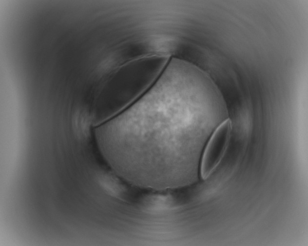 X0000114020552200910021419