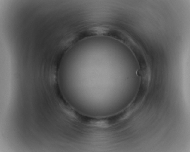 X0000114020553200910021419