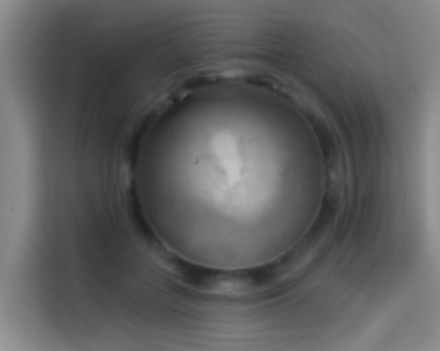 X0000114020555200910021419