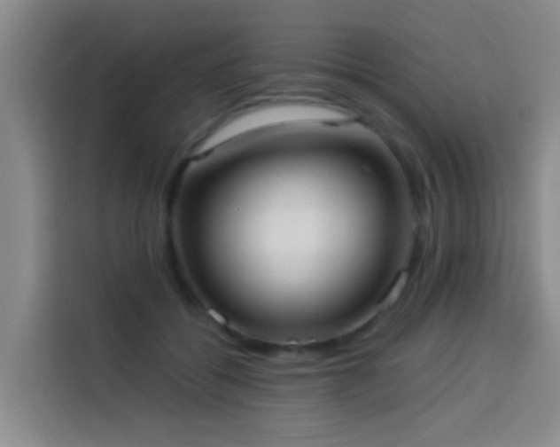 X0000114020556200910021419