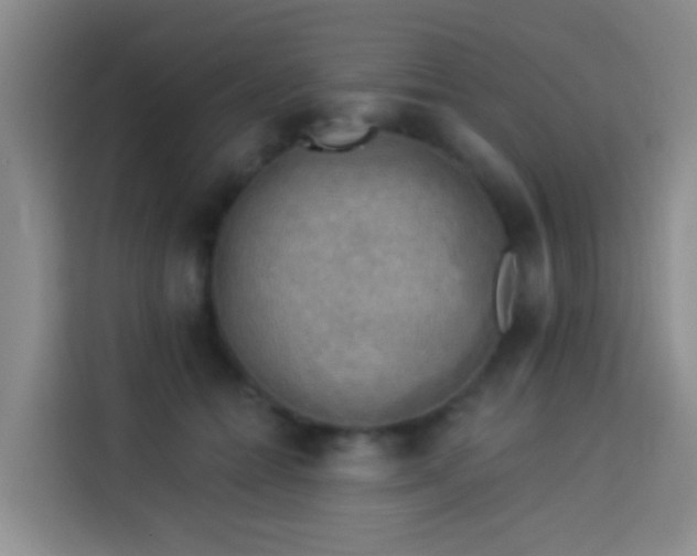 X0000114020558200910021419