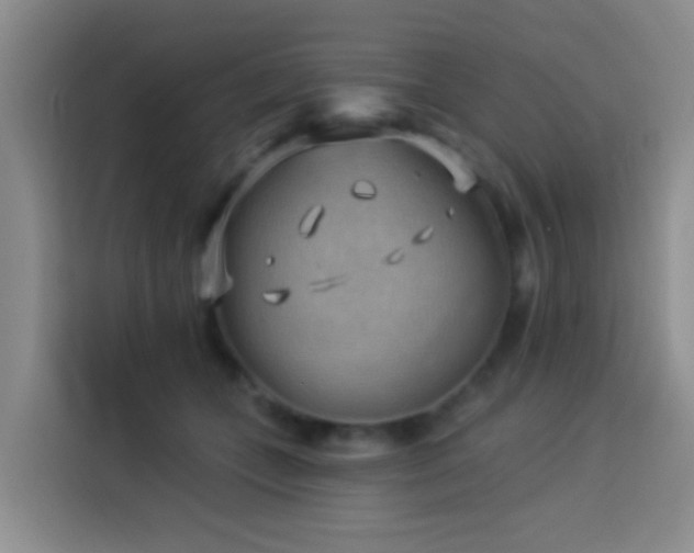 X0000114020559200910021419