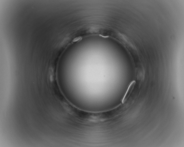 X0000114020560200910021419