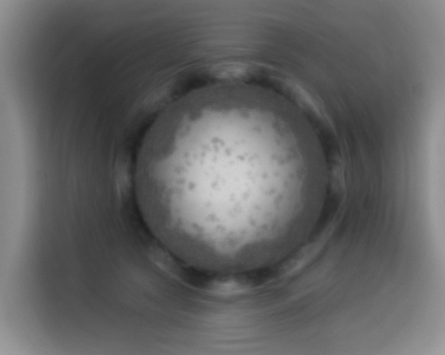 X0000114020561200910021420