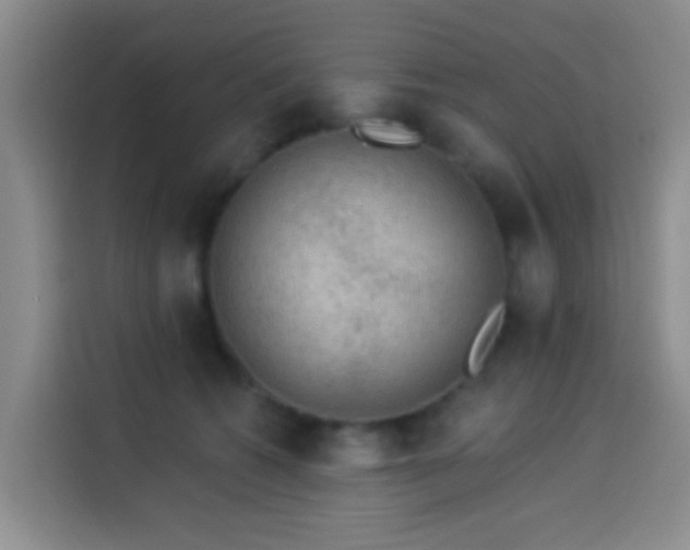X0000114020562200910021420