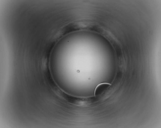 X0000114020563200910021420
