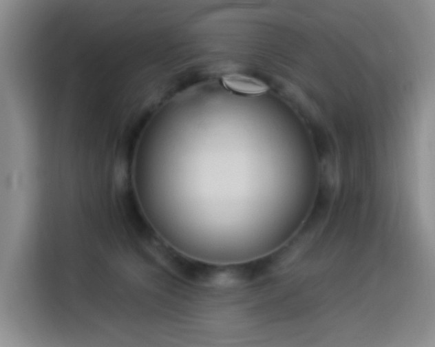 X0000114020564200910021420