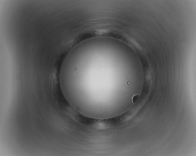 X0000114020565200910021420