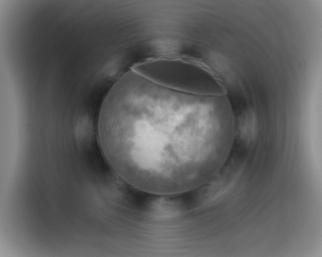 X0000114020568200910021420