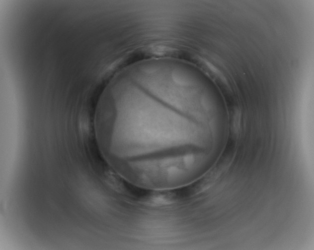 X0000114020569200910021420