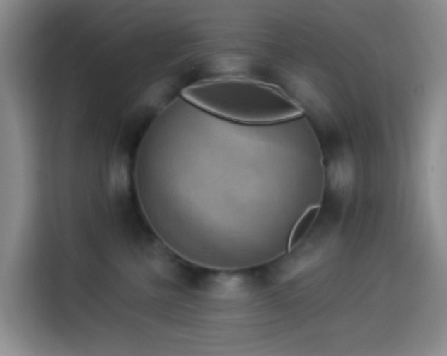 X0000114020570200910021420
