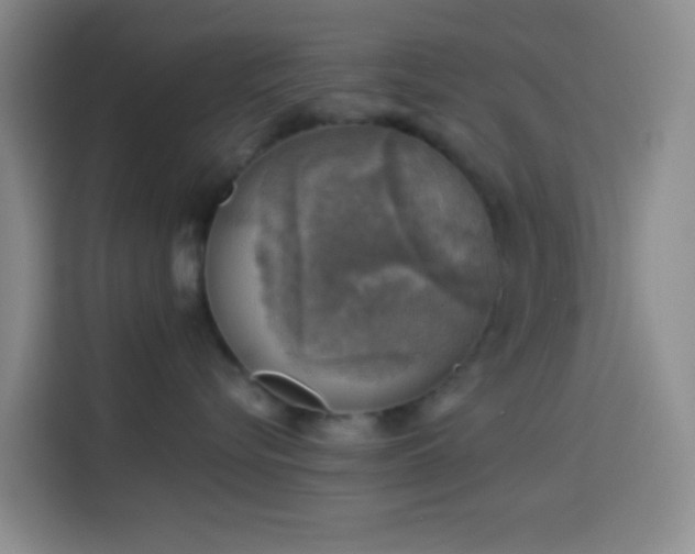 X0000114020576200910021420