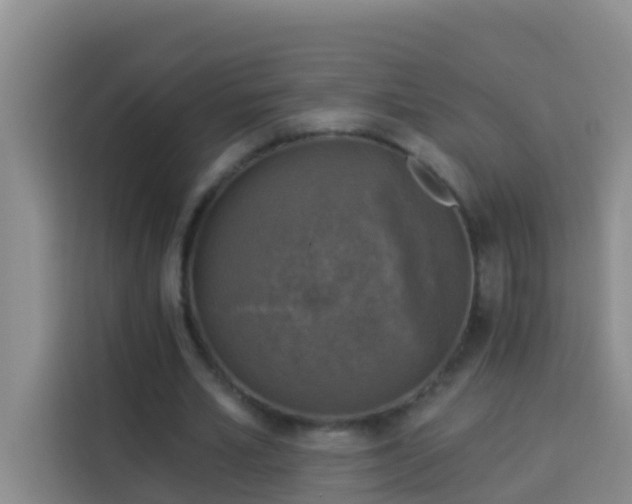 X0000114020581200910021419