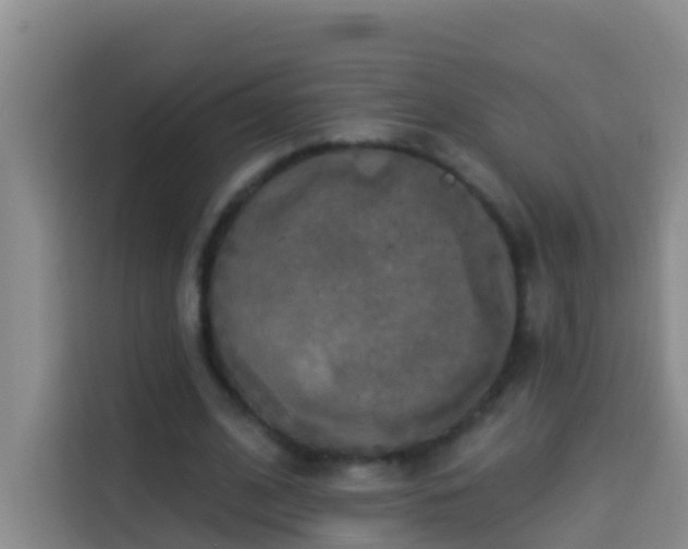 X0000114020584200910021419