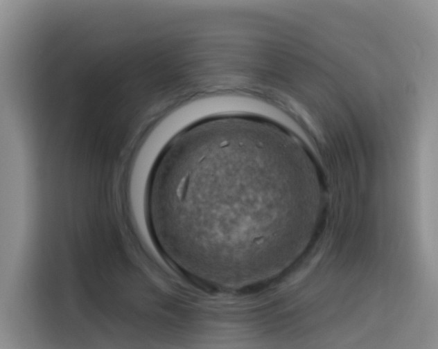 X0000114020589200910021419