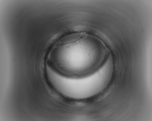 X0000114020592200910021419