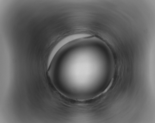 X0000114020595200910021419