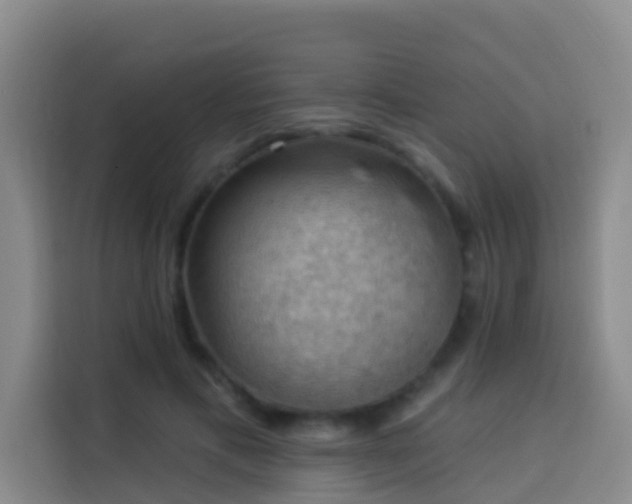 X0000114020597200910021419