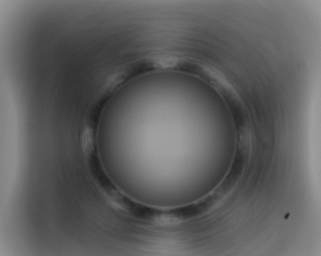 X0000114020598200910021419