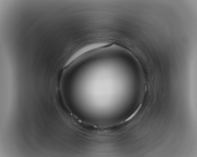 X0000114020599200910021419