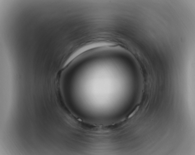 X0000114020601200910021419