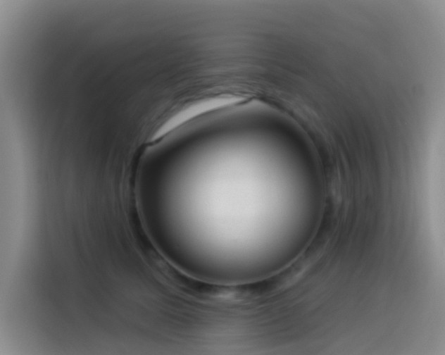 X0000114020611200910021419