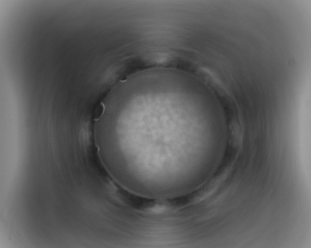 X0000114020612200910021419