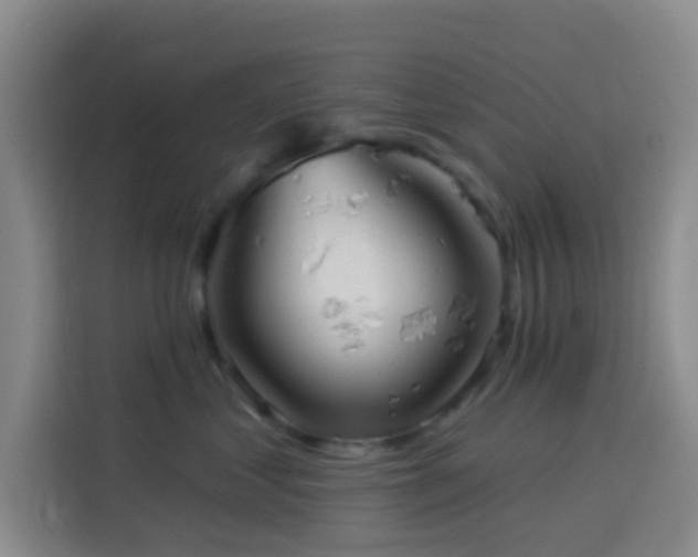 X0000114020621200910021419