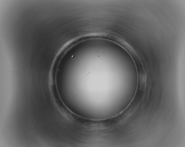 X0000114020628200910021418