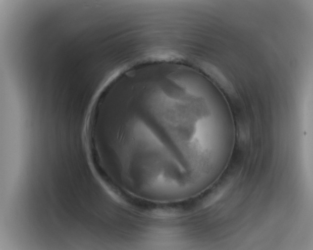 X0000114020630200910021418