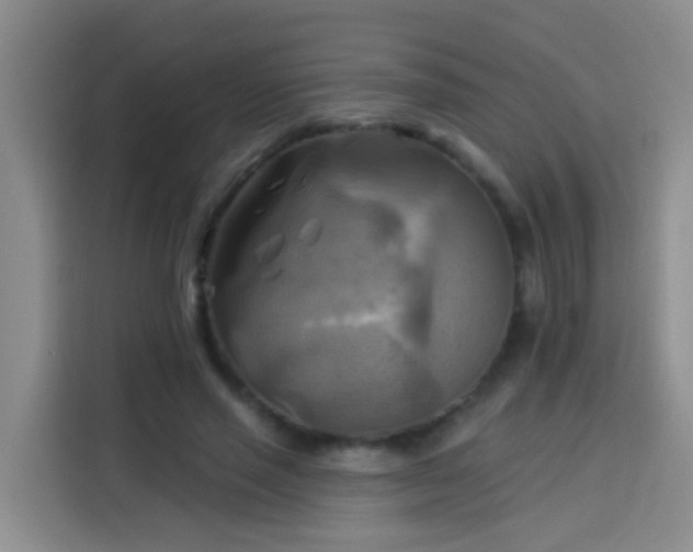 X0000114020637200910021418