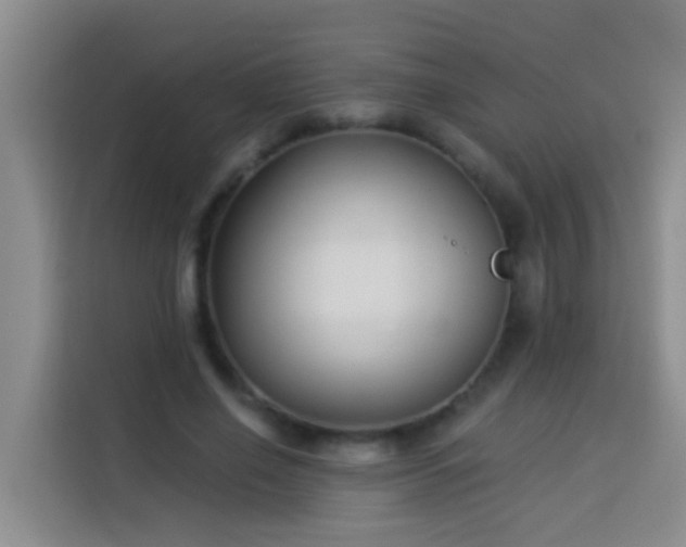 X0000114020638200910021418