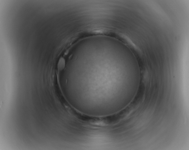 X0000114020643200910021418