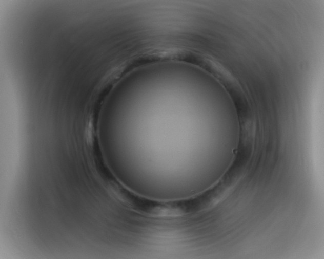 X0000114020644200910021418